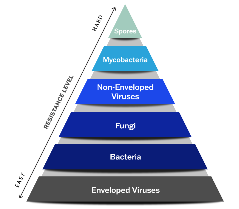 Pathogen Hierarchy - Air Scrubber A Pyramid showing the hierarchy of pathogens and their resistance starting from bottom (easiest resistance) to top (hardest resistance); Enveloped Viruses, Bacteria, Fungi, Non-enveloped viruses, mycobacteria, and spores.